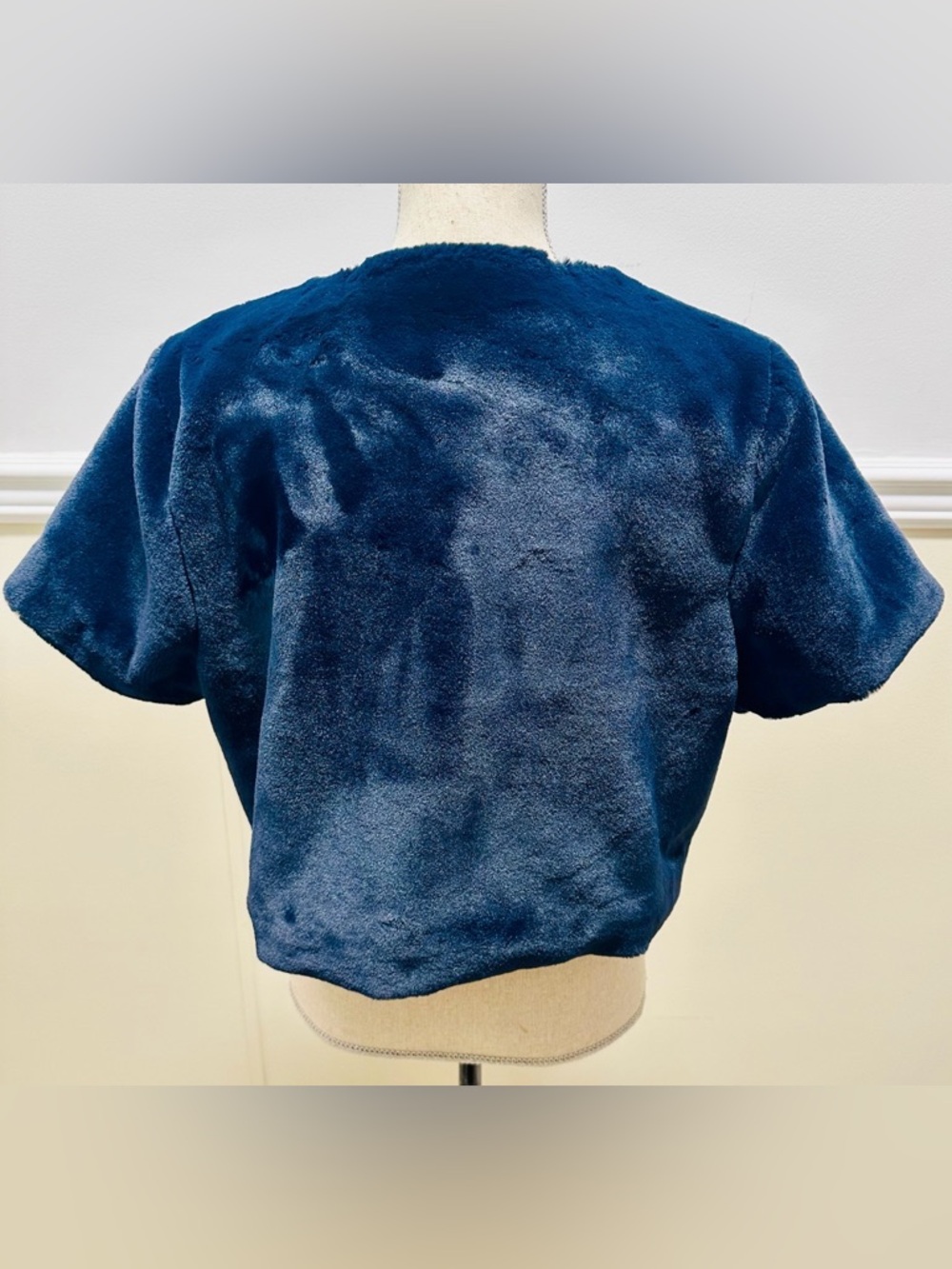 Echo Faux Fur Cropped Jacket M/L Blue Elegant Posh Coquettegirl - Picture 2 of 9